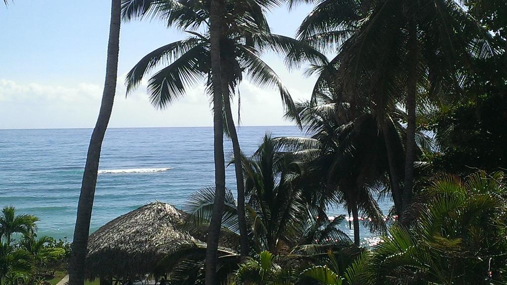 Hotel El Quemaito - Luxury Oceanfront Retreat Barahona Екстериор снимка