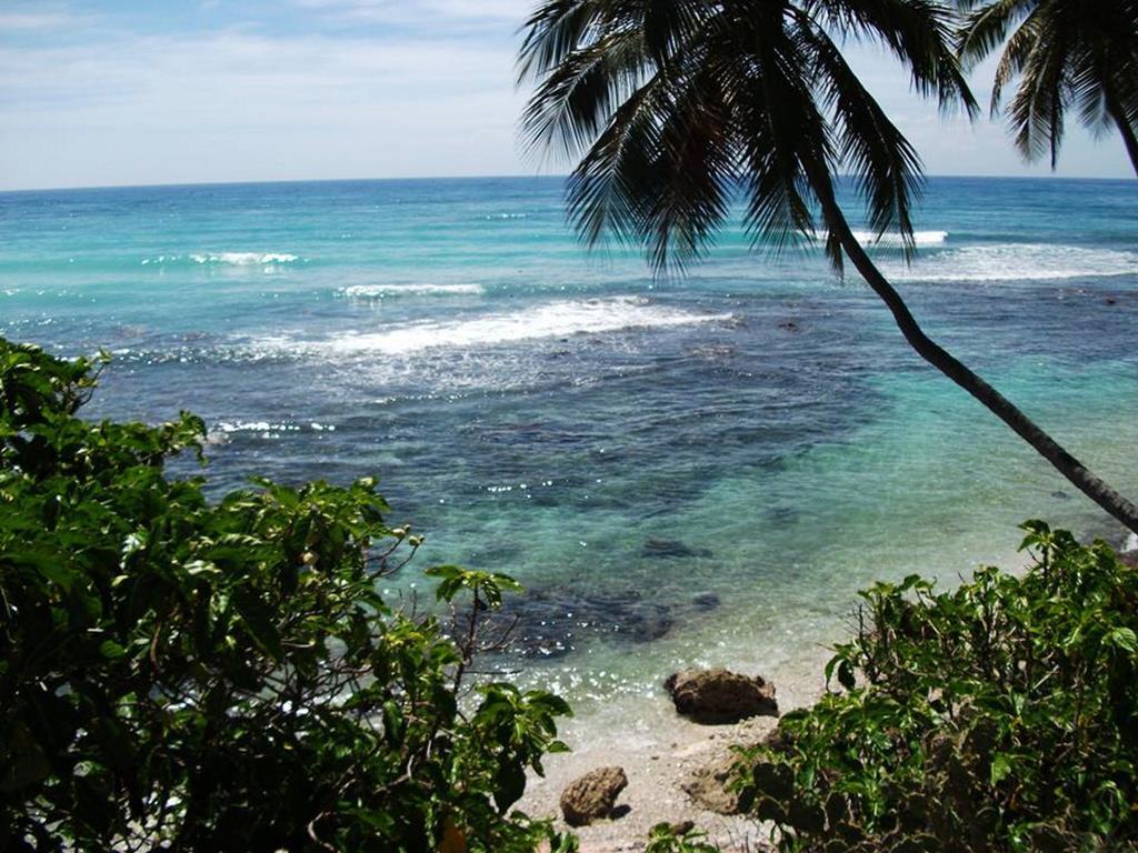 Hotel El Quemaito - Luxury Oceanfront Retreat Barahona Екстериор снимка